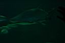 2002 Las Vegas 103.jpg